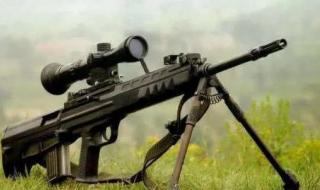 魔兽世界lr稀有宝宝