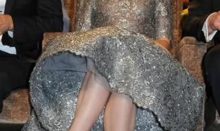 埃莲娜萨汀 埃莲娜萨汀