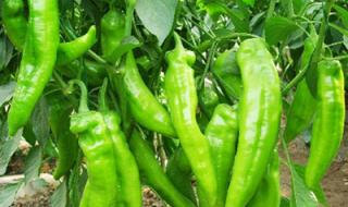 江西省吉安市永丰县