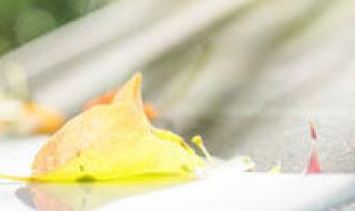 动画片黑猫警长全集