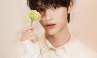 严浩翔17岁生日文案 严浩翔17岁生日文案