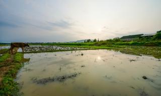 江西省吉安市永新县 江西省吉安市永新县