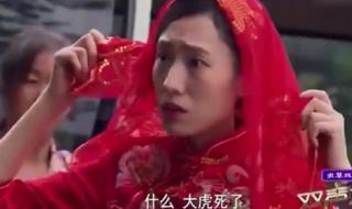 普法栏目剧古镇奇谭