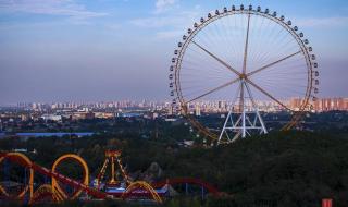 石家庄辛玛王国 石家庄辛玛王国