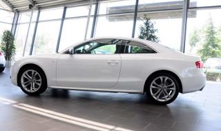 奥迪s5coupe 奥迪s5coupe