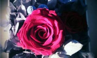 我用一生一世的心