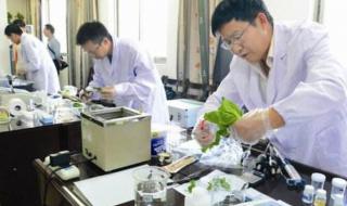 什么时候知道录取情况 什么时候知道录取情况