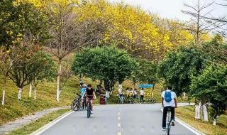 深圳周边自驾游