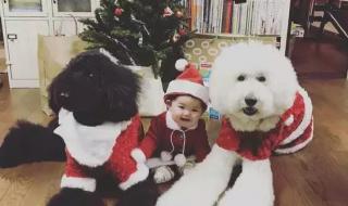 一起长大慢慢变老