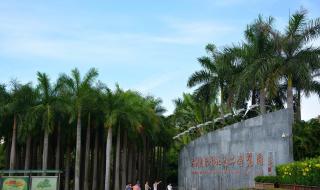 深圳园博园攻略