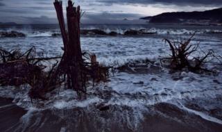 福岛核污水泄漏原因 福岛核污水泄漏原因