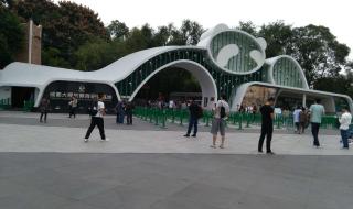 成都乐山大佛一日游