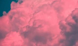 敬颂冬绥是什么意思 敬颂冬绥是什么意思