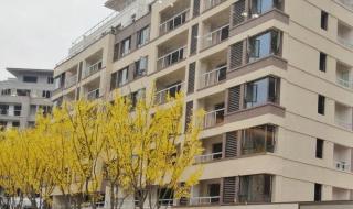 重庆一分一段表 重庆一分一段表