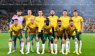 巴西世界杯巴西阵容 巴西世界杯巴西阵容